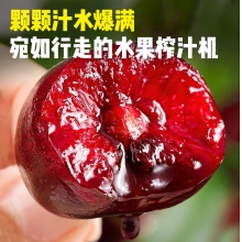 小憨哇智利车厘子5kg4J可选[多地次日达]进口大樱桃水果元旦送礼礼盒4斤(净重)带箱5斤[家庭装]高端礼盒精品果IJ26-28mm