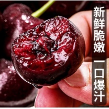 吧唧果金奖车厘子智利进口大樱枨新鲜水果sF部分次日达稀缺品种鲜甜脆硬5斤(净重)[原箱拆包更锁鲜]JJJJ级单果12-15g